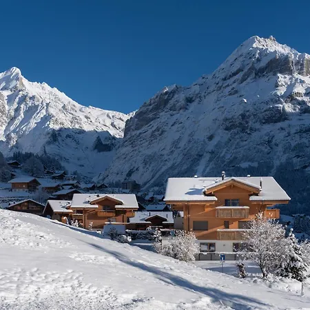 Chalet Alia And Apartments-Grindelwald By Swiss Hotel Apartments Exterior photo