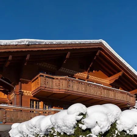 Chalet Alia And Apartments-Grindelwald By Swiss Hotel Apartments Exterior photo
