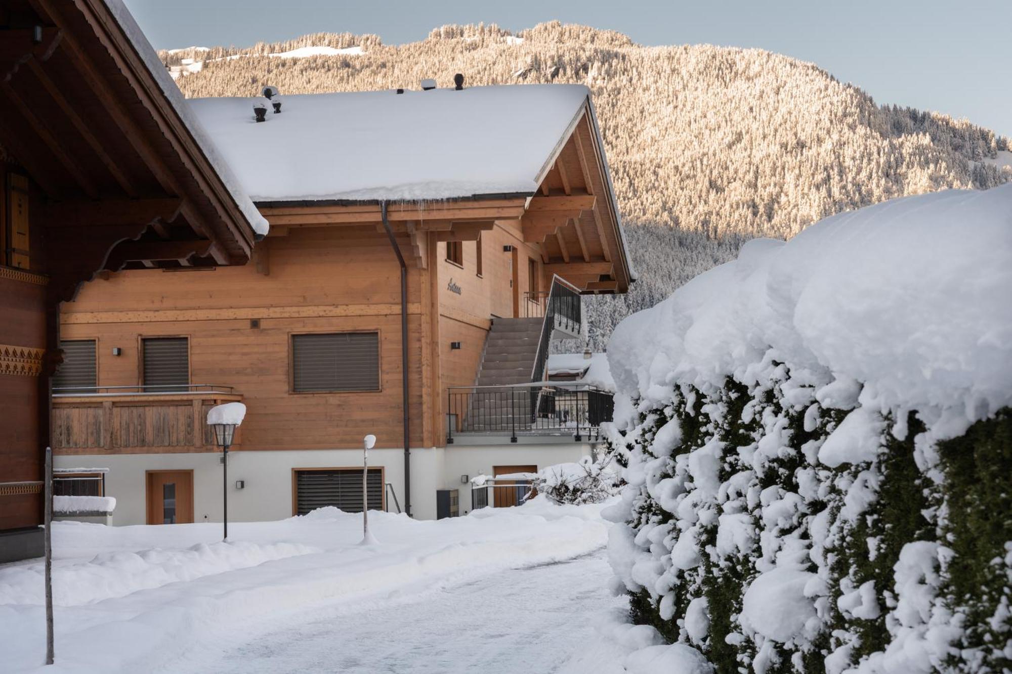 Chalet Alia And Apartments-grindelwald By Swiss