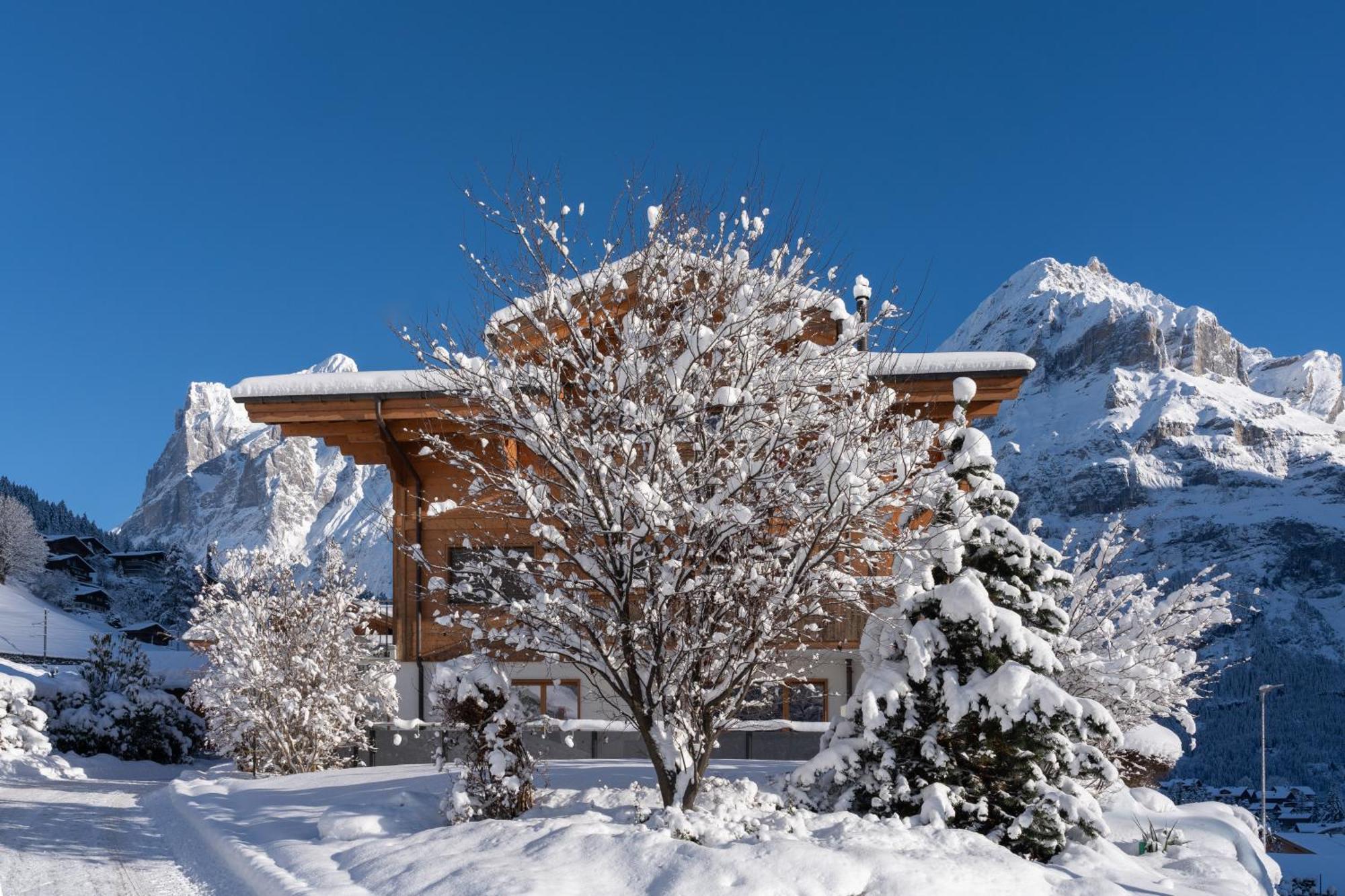 Alia And Apartments-grindelwald By Swiss Chalet *