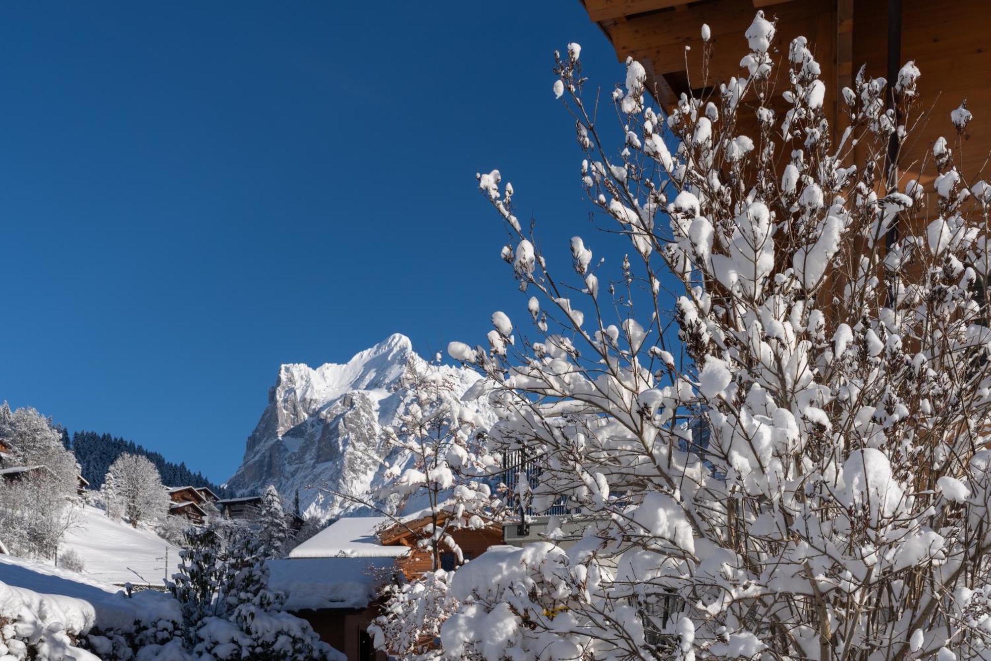 Chalet Alia And Apartments-grindelwald By Swiss Grindelwald
